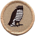 hawk patch